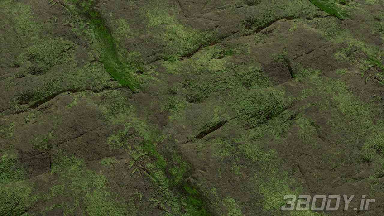 متریال خزه سنگ rock moss عکس 1